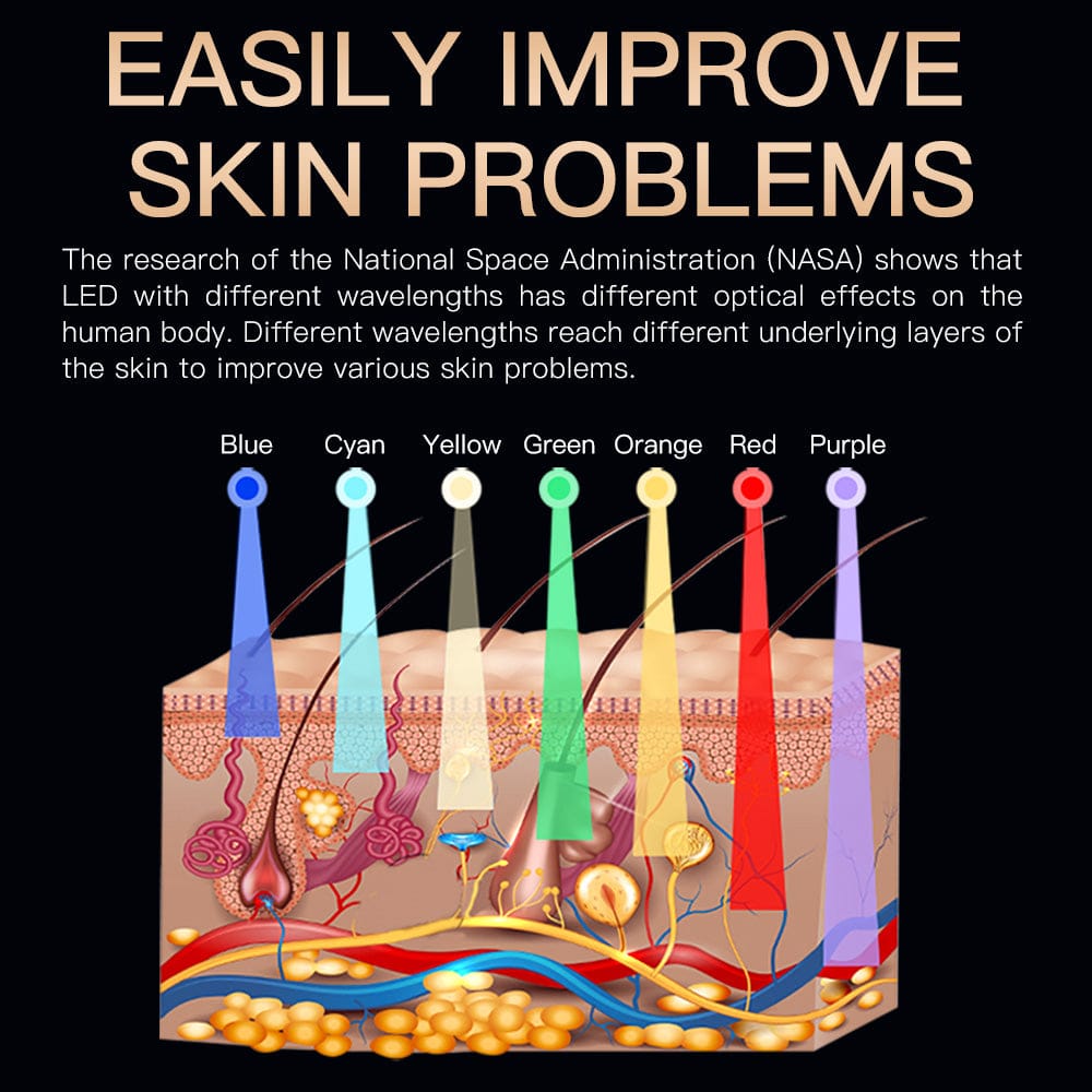 Bornbyme LED Light Therapy 7 Color LED Light Therapy with Hydrating Spray Facial Skin Machine